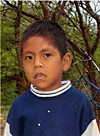 Alexander